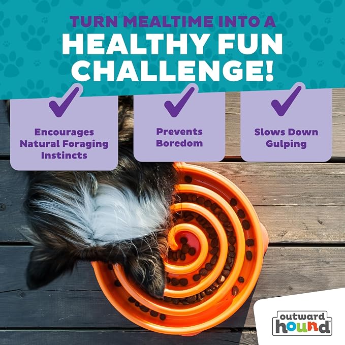 Outward Hound Fun Feeder Slo Bowl – Large 4‑Cup Capacity,Slow Feeding,Medium to Large Dogs,Non‑Slip,Orange,Swirl Pattern,(Pack of 6) - Image 7