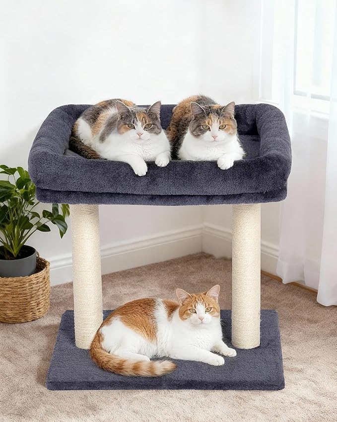 19" Small Cat Tree with Scratching Post for Indoor Cats with Perch | Dark Gray, Removable 19"×15.8" Perch Bed, Dual Natural Sisal Scratcher,Small Cat Tower,Space-Saving - Image 6