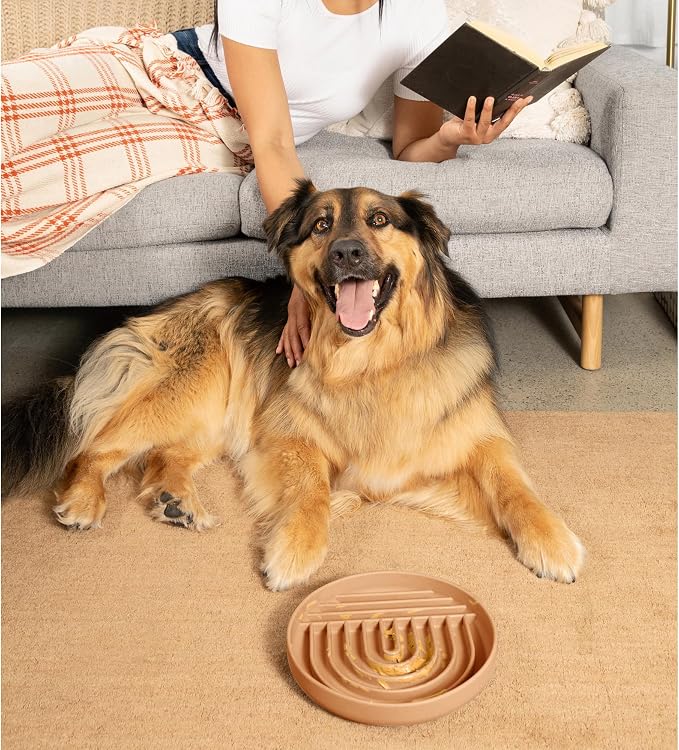 Should We Go? Slow Feeder Dog Bowls - Large Size Silicone Slow Eating Dog Bowl for Puppies & Dogs with Suction Cup -Dishwasher-Safe,Lick Mat Design,Reduces Gulping,for All Breeds,9.5”x1.5”-Terracotta - Image 7