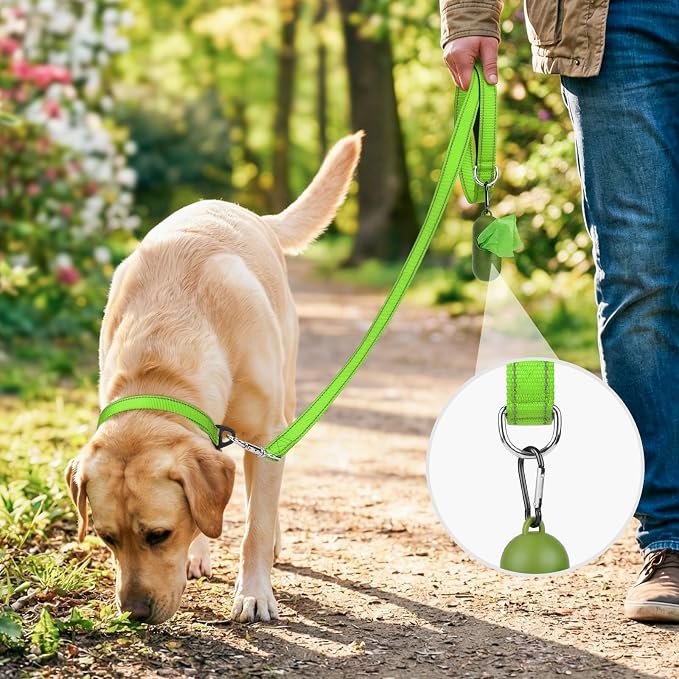 Joytale Reflective Dog Leash for Medium & Large Dogs, 4 FT x 1", Green | Heavy Duty Nylon Webbing, Padded Handle for Comfort, Visible at Night, for Walking & Training - Image 2