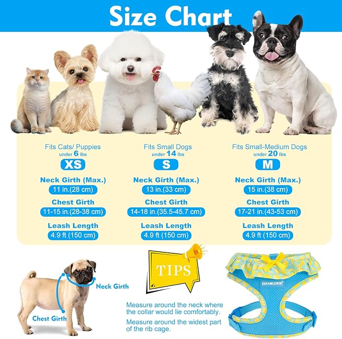 EXPAWLORER Step-in Dog Harness Small Sized and Leash Set | Cute Small Dog Harness No Pull Girl, Breathable Soft Mesh Padded, Adjustable Light Puppy Vest for Dogs Cats, Lemon S - Image 2