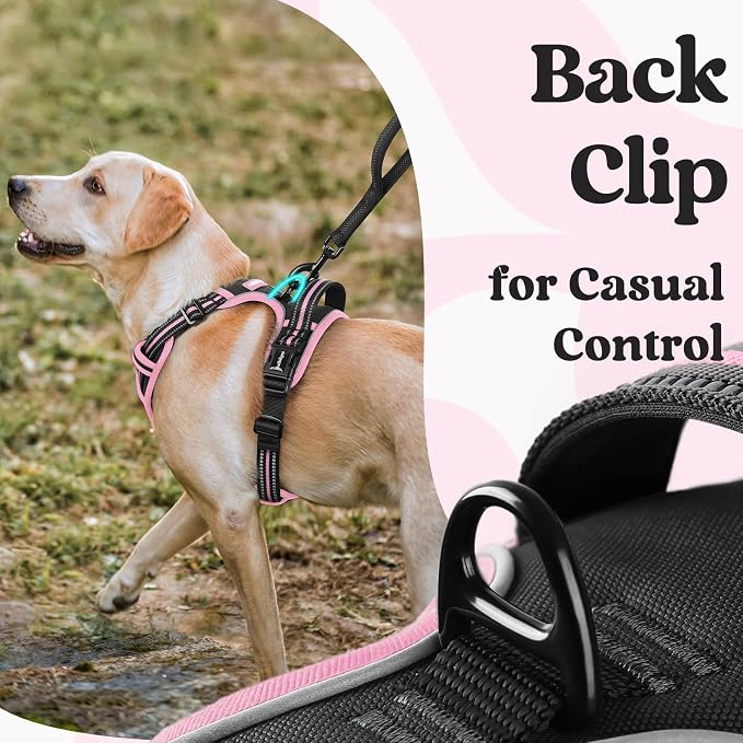rabbitgoo Dog Harness Small Sized, Updated Easy On & Off with 3 Buckles | No Pull No Choke, Walking with 2 Clips and Handle, Adjustable Soft Reflective, Black & Pink, Small - Image 5