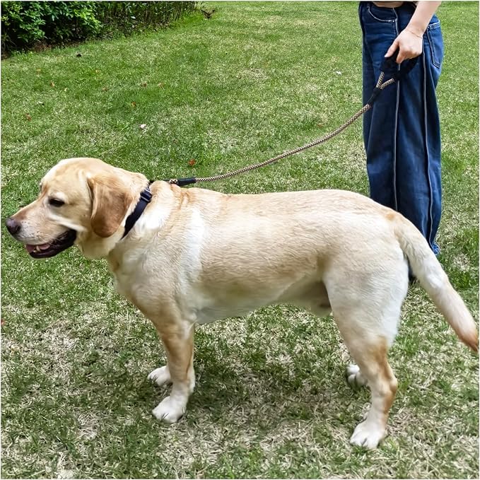 MayPaw Heavy Duty Rope Dog Leash, 3/4/6/7/8/10/12/15/20/30 FT Nylon Pet Leash, Soft Padded Handle Thick Lead Leashes for Large Medium Dogs (Brown, 1/2" * 3') - Image 7