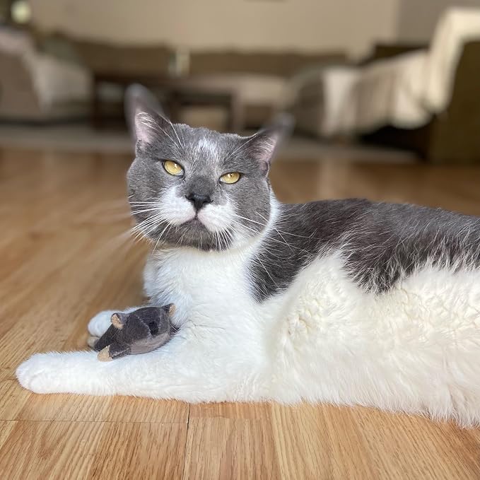 SPOT Flat Mouse Frankie with Catnip - Cat Toy, Fuzzy Mice with Catnip and Crinkle Sound, Perfect Size for Pouncing on, Chasing, Hunting - 5.5in Plush Toys, Assorted Colors - Image 8
