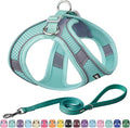 AIITLE Dog Harness and Leash Set, Step-in Puppy Pet Vest, Pure Turquoise M | Breathable Mesh, Adjustable Fit, Reflective Design, Padded Leash Handle, for Small-Medium Dogs & Cats, Walking, Training by AIITLE-FORPETSBETTERLIFE