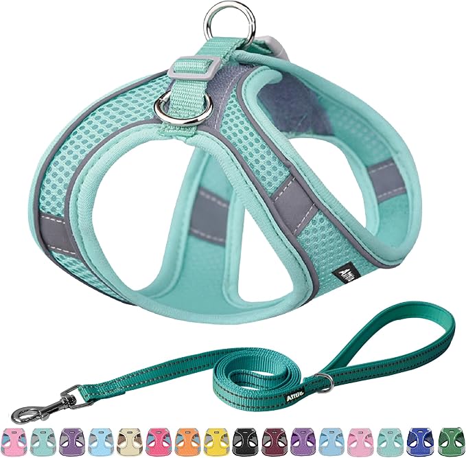 AIITLE Dog Harness and Leash Set, Step-in Puppy Pet Vest, Pure Turquoise M | Breathable Mesh, Adjustable Fit, Reflective Design, Padded Leash Handle, for Small-Medium Dogs & Cats, Walking, Training by AIITLE-FORPETSBETTERLIFE