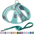 AIITLE Dog Harness and Leash Set, Step-in Puppy Vest, Pure Turquoise XXXS | Light, Soft, Breathable Air Mesh, Escape-Proof, Easy on and Remove with Hook & Loop, Secure Reflective for Walking by AIITLE-FORPETSBETTERLIFE
