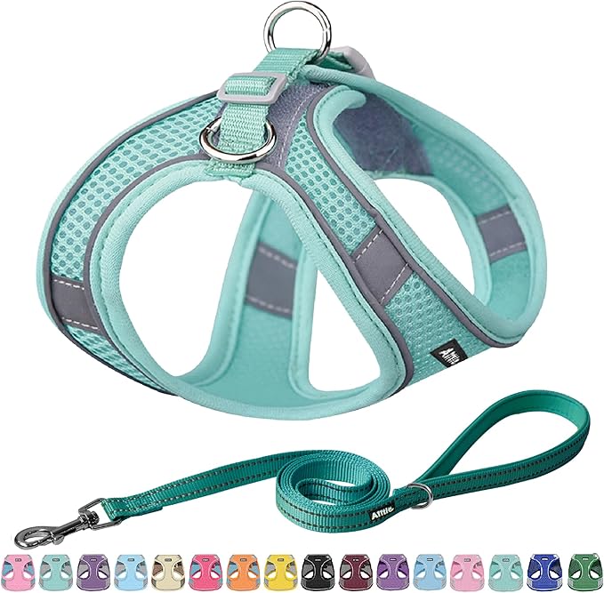 AIITLE Dog Harness and Leash Set, Step-in Puppy Vest, Pure Turquoise XXXS | Light, Soft, Breathable Air Mesh, Escape-Proof, Easy on and Remove with Hook & Loop, Secure Reflective for Walking by AIITLE-FORPETSBETTERLIFE