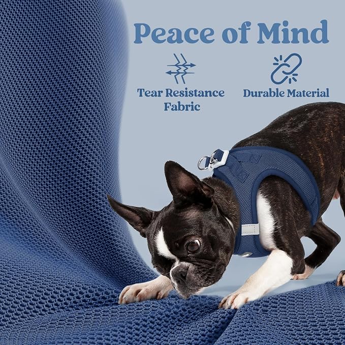 rabbitgoo Step-in Small Dog Harness, Puppy Vest for Small Medium Sized Pet | Easy Put on and off, Lightweight, Soft, Breathable Quick-Dry Air Mesh for Comfortable Secure Walking, Navy Blue XL - Image 5