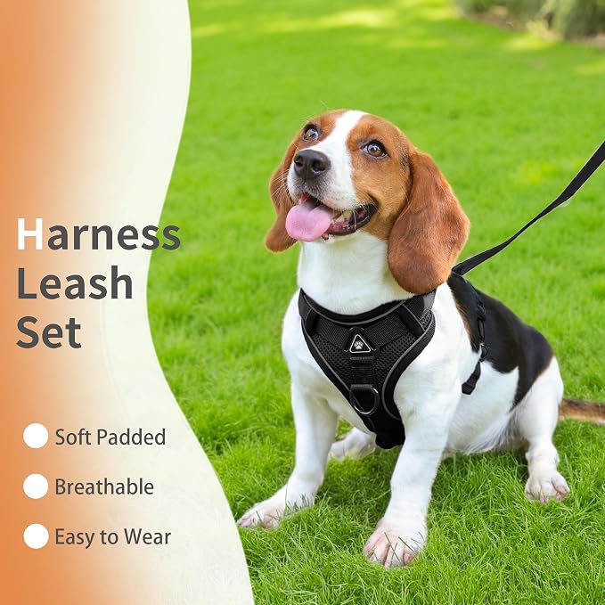 Dog Harness Small Sized Dog Pet Vest with Leash Set Black M | Adjustable Puppy Vest Harness, No Choke No Pull, Soft Padded, Step-in Dog Vest, Reflective Cat Harness, Breathable Air Mesh - Image 2
