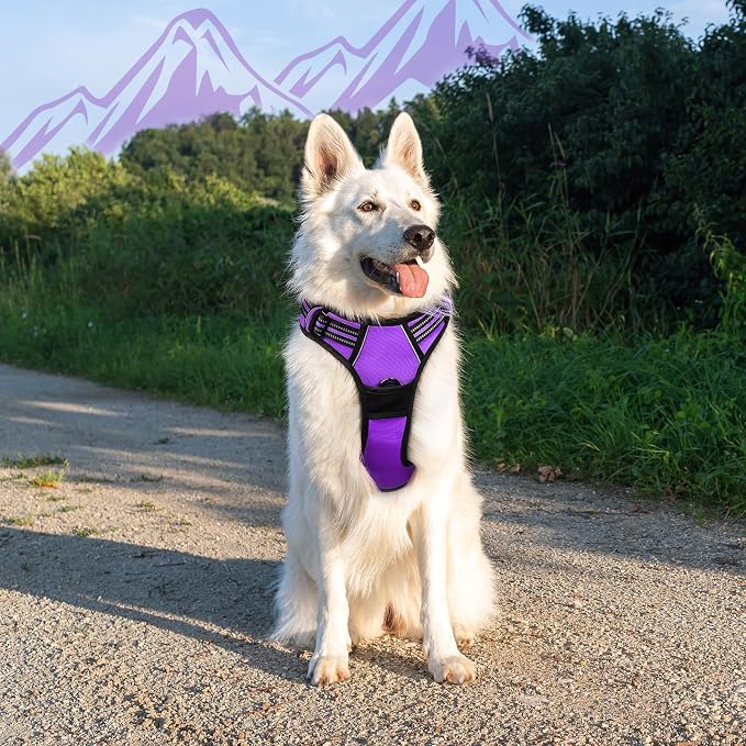 Eagloo Dog Harness for Large Dogs, No Pull Pet Vest with 2 Leash Clips | No Choke with Handle, Adjustable Comfort Fit, Reflective Strips, Easy Walking Control, Purple, X-Large - Image 8