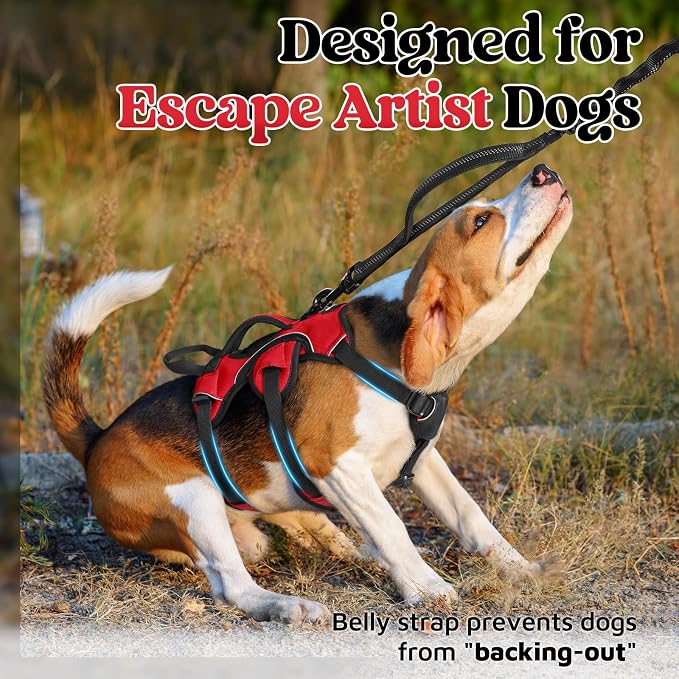 rabbitgoo Escape Proof Dog Harness for Small, No Pull with Lift Handle | No Escape, Full Soft Padded, Reflective Adjustable Vest, Leash Clip for Walking Hiking Training, Red, Small - Image 2