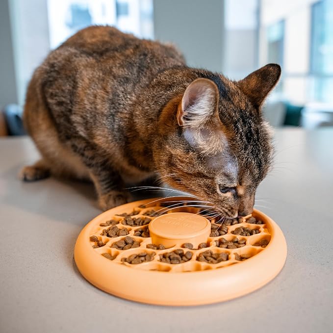 Catstages Slow Feeder Bowl & Treat Puzzle Cat Toy, Aids Digestion, 6.6" | Holds 1/2 Cup of Wet or Dry Food, 30 Treat Compartments, Non-Slip Base, Easy Clean, No BPA, Enrichment, Indoor Cats & Kittens - Image 7