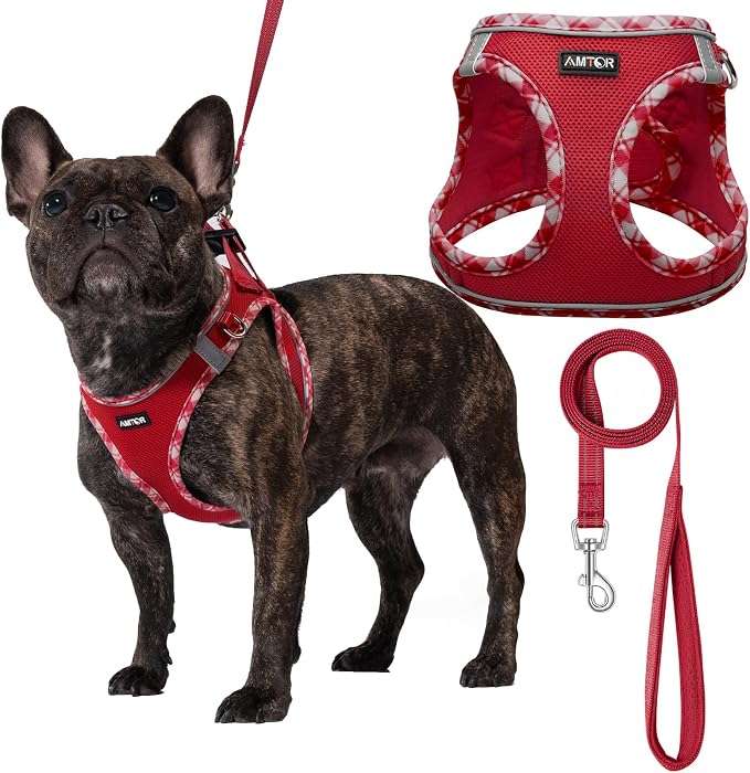 AMTOR Small Dog Harness with Leash Set, No Escape Easy Walk Puppy Harnesses for Training Walking, Step-in Reflective Soft Dogs Vest for XS S Medium Extra-Small Large Sized Dog(Red/White,XXS) by AMTOR