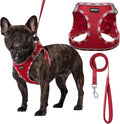 AMTOR Small Dog Harness with Leash Set, No Escape Easy Walk Puppy Harnesses for Training Walking, Step-in Reflective Soft Dogs Vest for XS S Medium Extra-Small Large Sized Dog(Red/White,XXS) by AMTOR