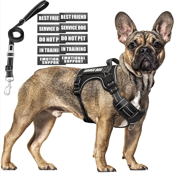 Tactical Dog Harness and Leash Set Medium Sized Dog+10 Dog Patches | Adjustable No Pull Service Animal Dog Vest with Dog Seat Belt,Padded Handles,Reflective Easy Walk for Training Hiking Black M by MOOGROUPETSFRIEND