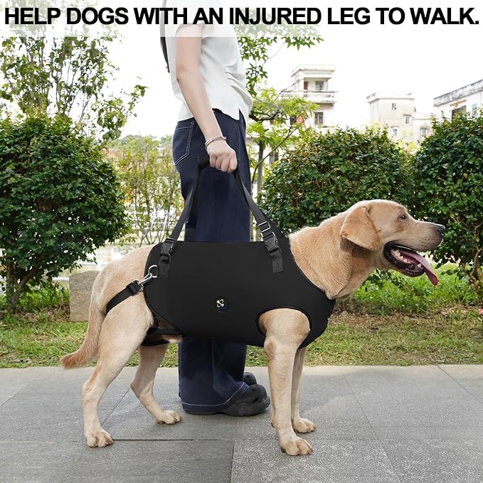 Coodeo Dog Lift Harness, Pet Support & Rehabilitation Sling Lift Adjustable Padded Breathable Straps for Old, Disabled, Joint Injuries, Arthritis, Loss of Stability Dogs Walk (Black, XS) - Image 6