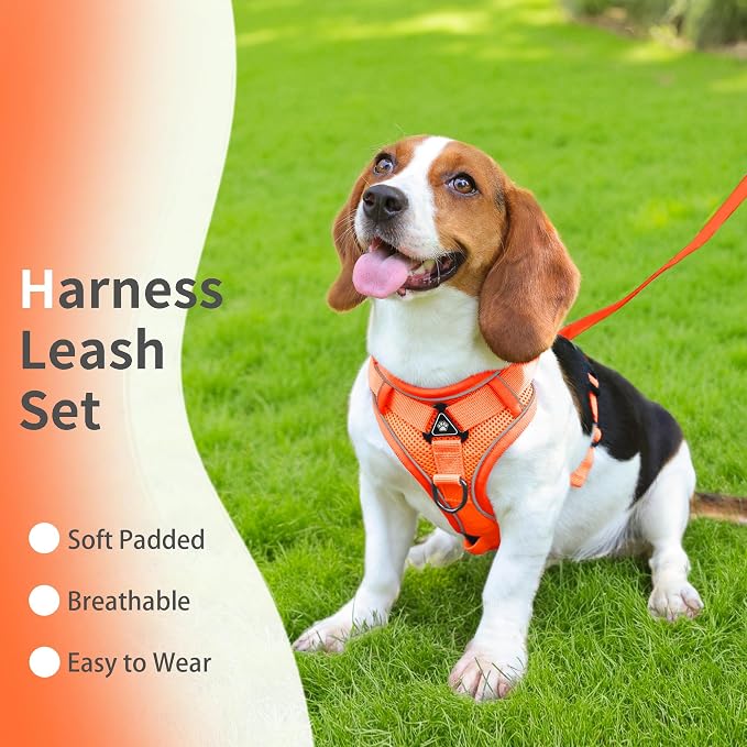 Dog Harness Medium Sized Dog Pet Vest with Leash Set Orange L | Adjustable Puppy Vest Harness, No Choke No Pull, Soft Padded, Step-in Dog Vest, Reflective Cat Harness, Breathable Air Mesh - Image 2