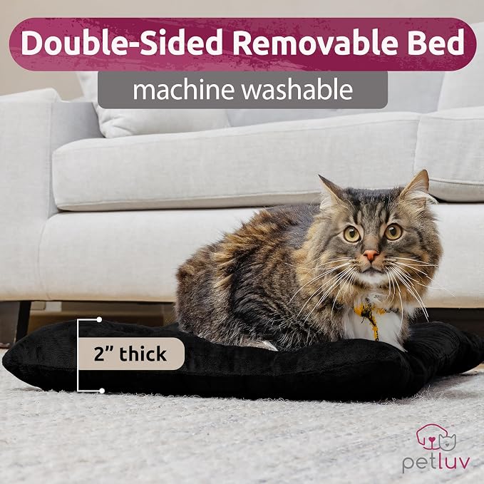 Cat & Dog Pet Carrier, Soft-Sided, Large 24"x16"x16", Fits Large Cat, 2 Cats, or Medium Dog Comfortably, Great for Travel & Vet Visits, Privacy Windows, Removable Bed, Locking Zippers, Foldable - Image 7