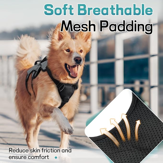 rabbitgoo Escape Proof Dog Harness for X-Large, No Pull with Lift Handle | No Escape, Full Soft Padded, Reflective Adjustable Vest, Leash Clip for Walking Hiking Training, Grey, X-Large - Image 6