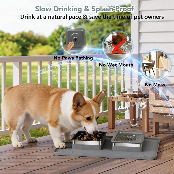 Dog Bowl Set, No Spill Dog Water and Food Bowl with Slow Feeder | Large Capacity 304 Stainless Steel Bowls, 3-In-1 Set, Slow Drinking, Anti-Slip Mat, Easy to Clean, Home/Travel, 6-7 Cups - Image 3
