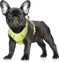 BARKBAY No Pull Dog Harness Large Reflective Dog Harness with Front Clip and Easy Control Handle for Walking Training Running with ID tag Pocket(Sunlight,S) by BARKBAY