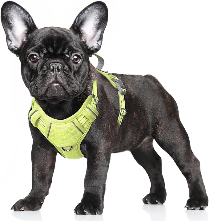 BARKBAY No Pull Dog Harness Large Reflective Dog Harness with Front Clip and Easy Control Handle for Walking Training Running with ID tag Pocket(Sunlight,S) by BARKBAY