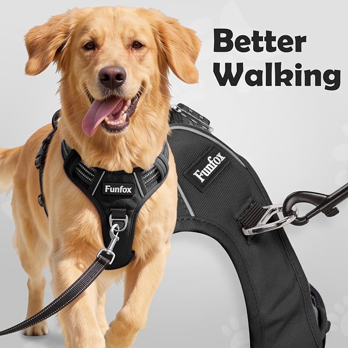 Dog Harness for X-Large Dog No Pull, Adjustable Pet Vest Harness, Vertical Handle Easy Control with 2 Leash Clips, Soft Material, Reflective Safe Night Walking for X-Large Size, Black, XL - Image 2