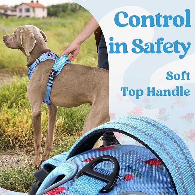 rabbitgoo Dog Harness Small Sized, Updated Easy On & Off with 3 Buckles | No Pull No Choke, Walking with 2 Clips and Handle, Adjustable Soft Reflective, Floral Blue, Small - Image 5
