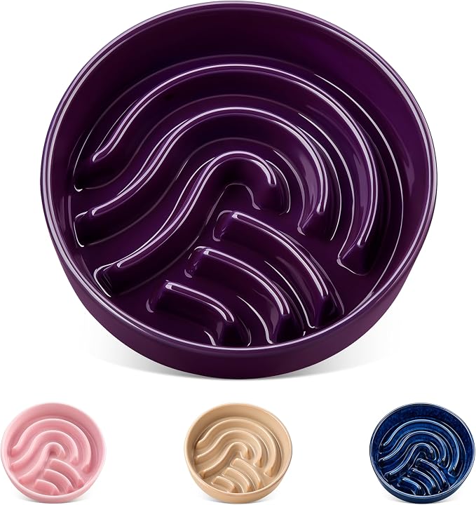 vancasso Slow Feeder Dog Bowl, 0.6 Cup Ceramic Slow Feeding Food Dish for Small Breed, Puzzle Dog Food Bowl for Fast Eater, Dark Purple by vancasso