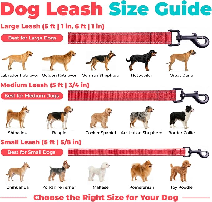 Best Pet Supplies Voyager Nylon Dog Leash - Red, Medium | 5ft in Length, 3/4" in Width, Reflective, Soft Neoprene Handle, Heavy Duty Metal Clips for Running, Walking & Training - Image 6