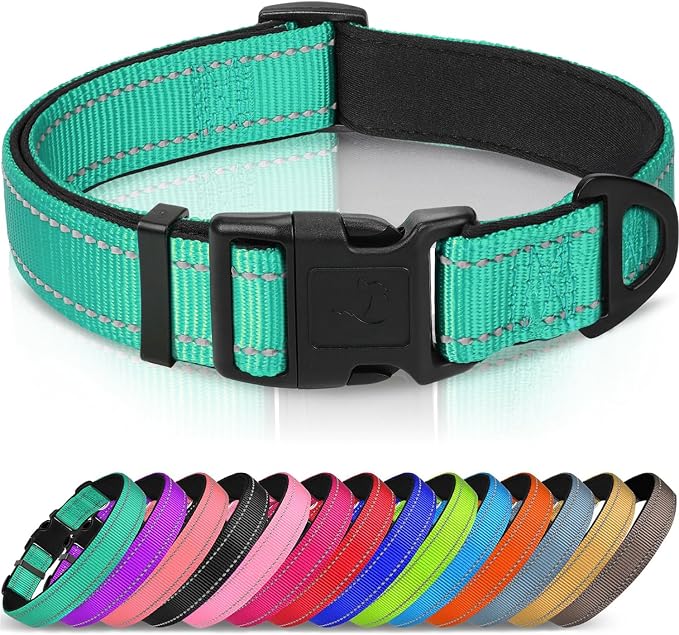 Joytale Reflective Dog Collar, Adjustable Neoprene Padded, Teal XS | Breathable Nylon for Puppies and Small Breeds, No Chafing on Walks and Indoor Training, Light Metal D-Ring, Night Safety by Joytale