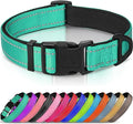 Joytale Reflective Dog Collar, Adjustable Neoprene Padded, Teal M | Breathable Nylon for Medium Dogs, No Chafing on Walks and Backyard Play, All-Day Comfort, Metal D-Ring, Night Safety by Joytale