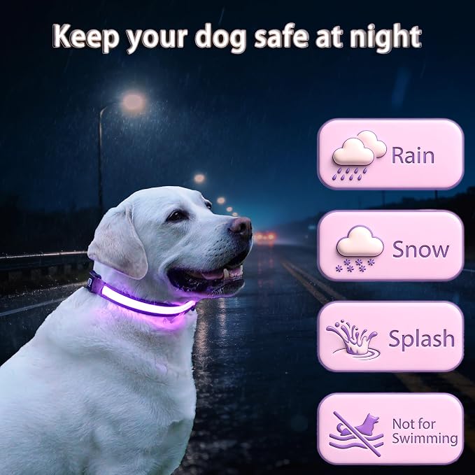 USB Rechargeable LED Dog Collar, Waterproof, Adjustable, Glowing, for Extra Small Dogs, Night Walking, Camping, Jogging, Purple, XS (Neck 9-13", Width 5/8") - Image 3