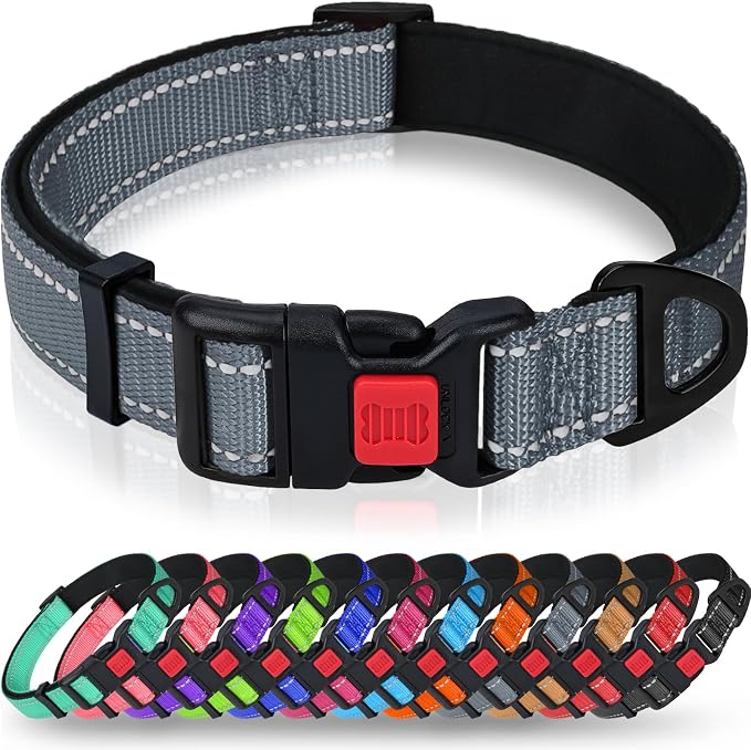 Taglory Reflective Dog Collar for Puppies, Gentle and Safe for Night Walks | Night-Walk Visibility, Soft Neck Cushioning, Adjustable 8-12 in, Locking Buckle, D-Ring for Leash and ID Tags by Taglory