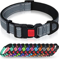 Taglory Reflective Dog Collar for Puppies, Gentle and Safe for Night Walks | Night-Walk Visibility, Soft Neck Cushioning, Adjustable 8-12 in, Locking Buckle, D-Ring for Leash and ID Tags by Taglory