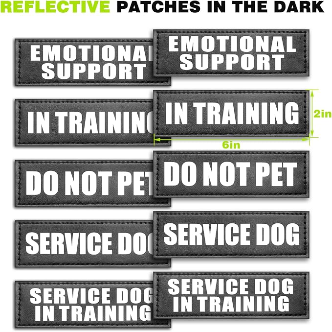 Service Dog Vest Harness for Large Dog, Tactical Working MOLLE Vest with 10 Pet Patches, No Pull Heavy Duty Harness for Training Walking - Image 7