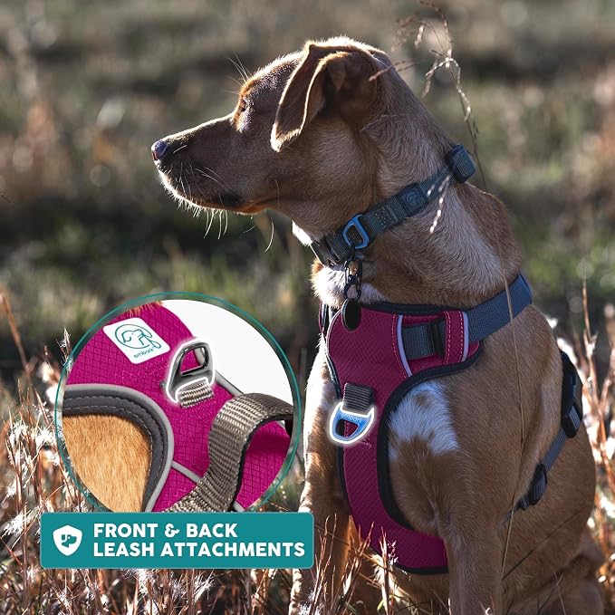 Embark No Pull Dog Harness, Reflective Adjustable Training Vest, No Choke | Adjustable straps fit all dog breeds with sturdy hooks; 360° reflective trim, soft padded Harness Design for All Dogs - Image 9