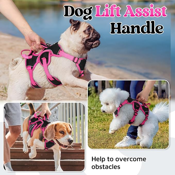 rabbitgoo Escape Proof Dog Harness for Small, No Pull with Lift Handle | No Escape, Full Soft Padded, Reflective Adjustable Vest, Leash Clip for Walking Hiking Training, Rose & Black, Small - Image 3