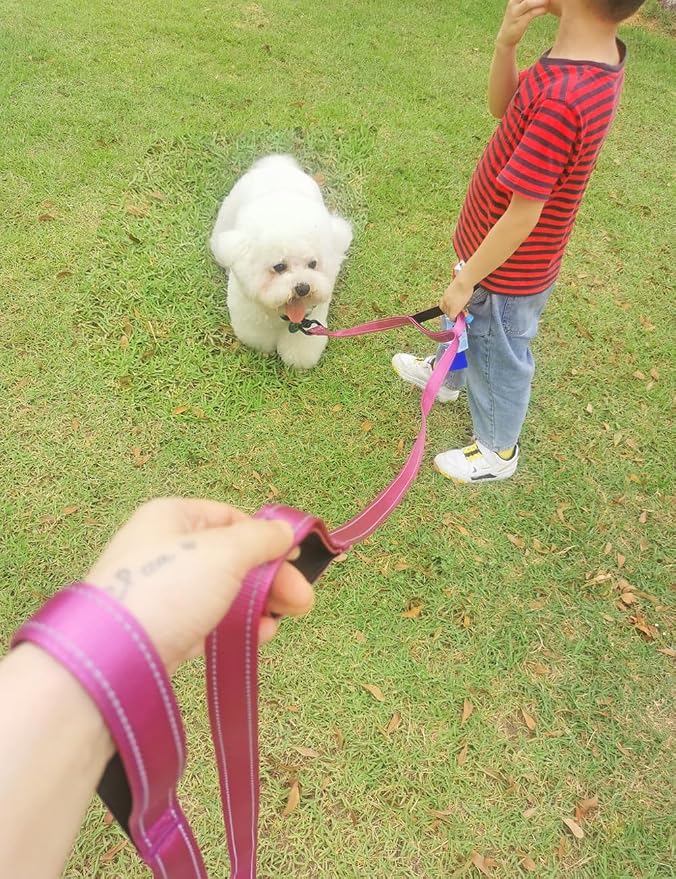 3 Handle Dog Leash 10FT Triple Handle Reflective Large Medium Dog | Multi Handles Heavy Duty Training Lead with Padded Traffic Handles for Control and Safety - Image 9