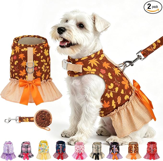 EXPAWLORER Dog Harness Small Medium Sized Dogs, No Choke No Pull Mesh Vest | Fall Dog Dress Bowknot Harness and Leash Set, Cute Princess Puppy Soft Outfits Clothes Costume for Girls Party Cats Brown M by EXPAWLORER