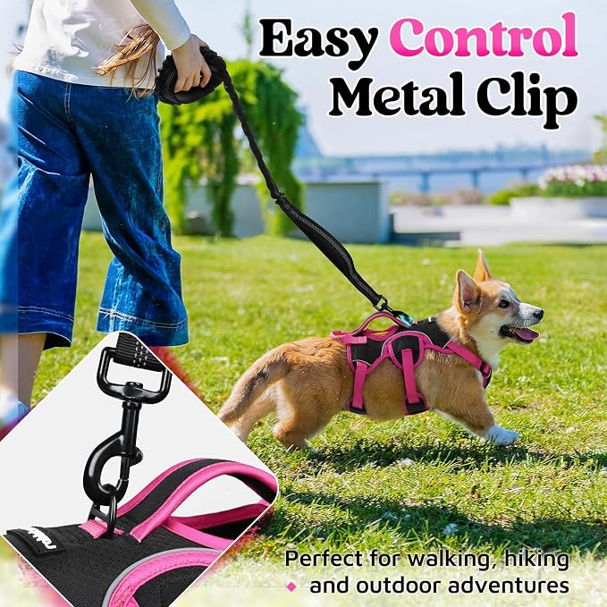 rabbitgoo Escape Proof Dog Harness for Small, No Pull with Lift Handle | No Escape, Full Soft Padded, Reflective Adjustable Vest, Leash Clip for Walking Hiking Training, Rose & Black, Small - Image 5