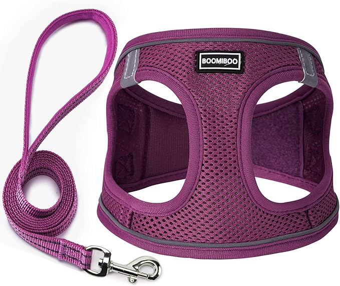 Dog Harness with Leash Set, Step-in Adjustable Puppy Pet Vest, Cranberry M | Lightweight Breathable Air Mesh, Night Safety Reflective, No Pull Puppy Vest Harnesses for Small Medium Large Dogs, Cats by BOOMIBOO