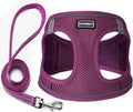 Dog Harness with Leash Set, Step-in Adjustable Puppy Pet Vest, Cranberry M | Lightweight Breathable Air Mesh, Night Safety Reflective, No Pull Puppy Vest Harnesses for Small Medium Large Dogs, Cats by BOOMIBOO