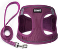 Dog Harness with Leash Set, Step-in Adjustable Puppy Pet Vest, Cranberry XL | Lightweight Breathable Air Mesh, Night Safety Reflective, No Pull Puppy Vest Harnesses for Small Medium Large Dogs, Cats by BOOMIBOO