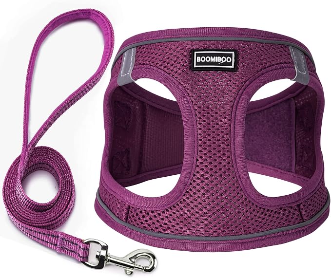 Dog Harness with Leash Set, Step-in Adjustable Puppy Pet Vest, Cranberry XL | Lightweight Breathable Air Mesh, Night Safety Reflective, No Pull Puppy Vest Harnesses for Small Medium Large Dogs, Cats by BOOMIBOO