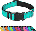 Reflective Dog Collar, Adjustable Soft Neoprene Padded,Teal,XL | Breathable Nylon for Extra Large Dogs,Tear-Resistant Webbing,Chafe‑Free on Walks and Hikes,Metal D-Ring,Night Safety by PWOD