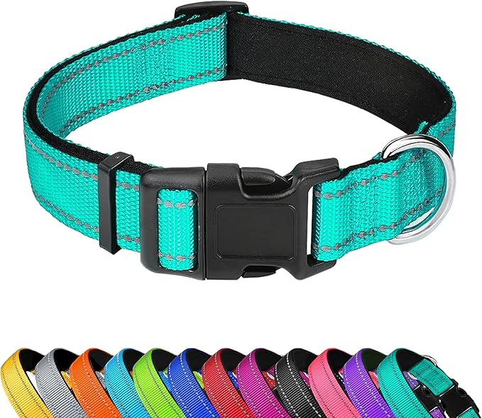 Reflective Dog Collar, Adjustable Soft Neoprene Padded,Teal,XL | Breathable Nylon for Extra Large Dogs,Tear-Resistant Webbing,Chafe‑Free on Walks and Hikes,Metal D-Ring,Night Safety by PWOD