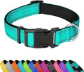 Reflective Dog Collar, Adjustable Soft Neoprene Padded,Teal,L | Breathable Nylon for Large Dogs,Tear-Resistant Webbing,Chafe‑Free on Walks and Hikes,Metal D-Ring,Night Safety by PWOD