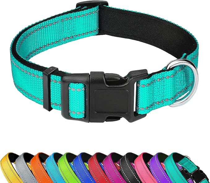 Reflective Dog Collar, Adjustable Soft Neoprene Padded,Teal,M | Breathable Nylon for Medium Dogs,Tear-Resistant Webbing,Chafe‑Free on Walks and Hikes,Metal D-Ring,Night Safety by PWOD